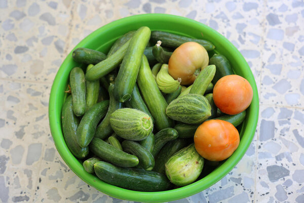 Radha picks vegetables from her farm as part of the project.