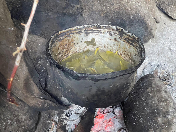 pot of halas leaves boiling