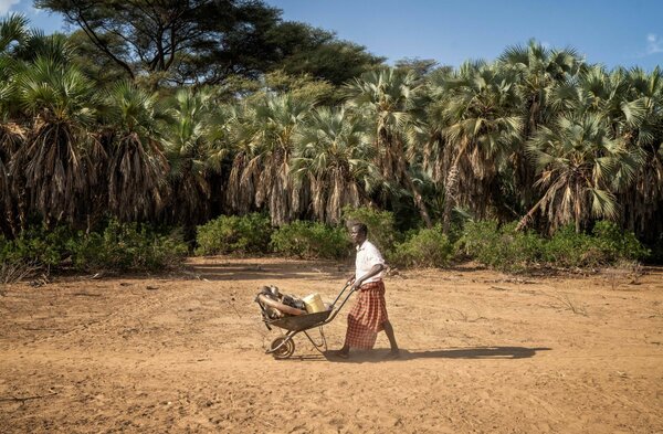 Photo: WFP/Fredrik Lerneryd