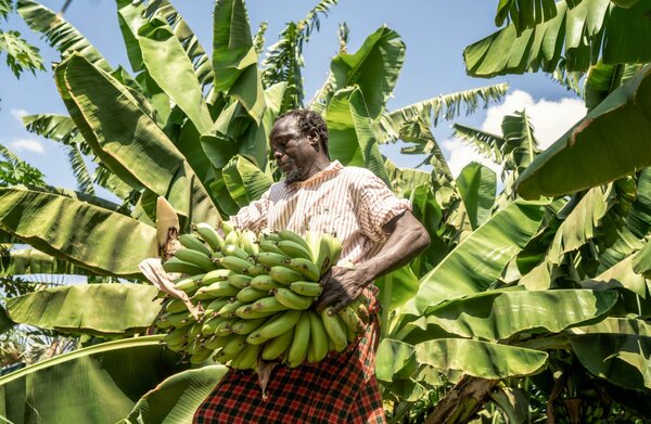 Photo: WFP/Fredrik Lerneryd