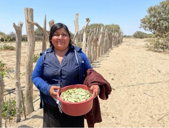 Noemi grows food in the midst of the Sechura desert.