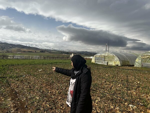 Rana’s greenhouse used to be filled with different kinds of vegetables. The climate crisis is forcing her to opt for crops that are resilient to water shortages. Photos: WFP/Edmond Khoury