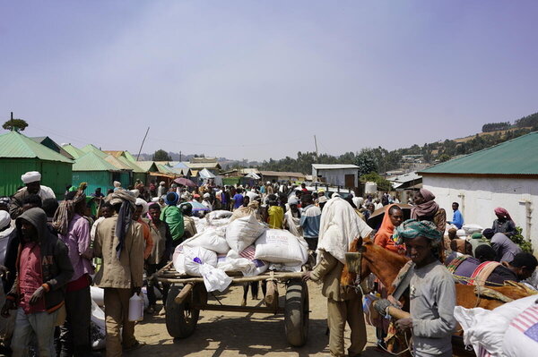 In the Amhara Region, chronic food insecurity has been prevalent in recent years, but the conflict has greatly exacerbated the situation. According to WFP’s new Emergency Food Security Assessment – in which WFP interviewed over 1,800 families - 4.2 million people (45 percent of the population) are now food insecure in conflict-affected zones in the region. The Wag Hamra and South Gondar zones were found to be the worst off; 89 percent of households in Wag Hamra and 66 percent of households in South Gondar a