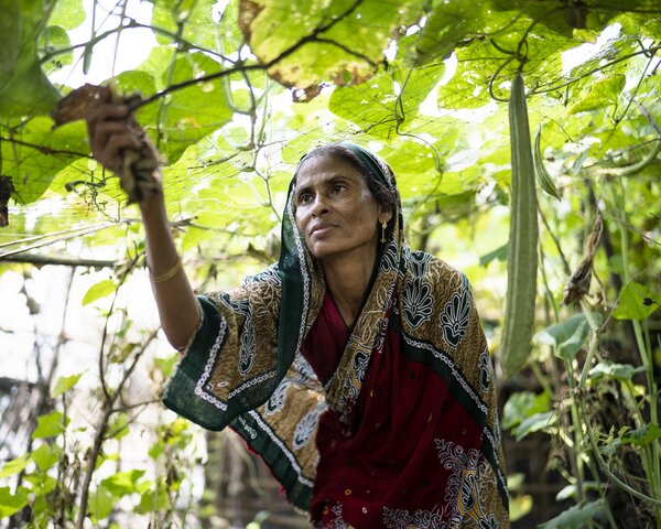 A woman reaches up to tend to a plant in a garden