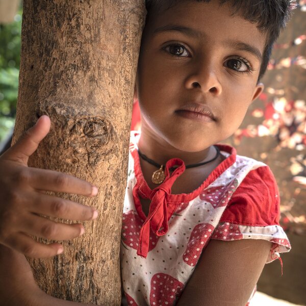 A child peers from behind a tree