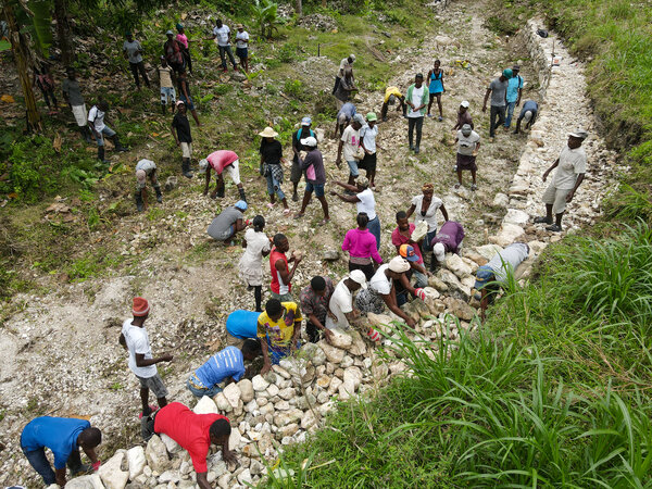 A group of Haitians work on a terracing project.