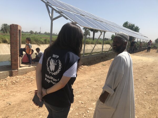 Solar panels for irrigation in luxor