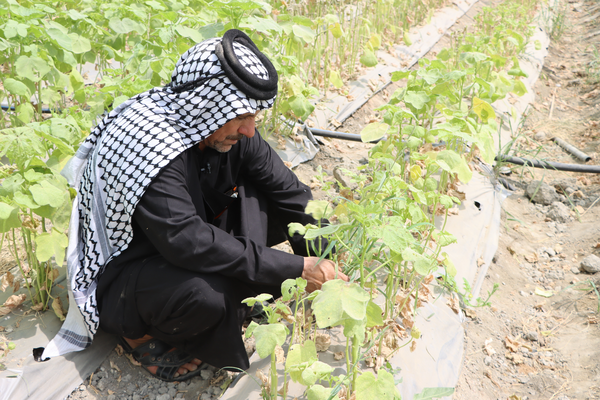 Jermal tends to his heat-affected plants. Photo: WFP/Photolibrary