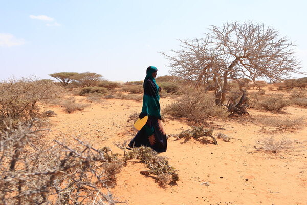 The drought in Somalia is putting families and communities at risk of food insecurity. WFP/CRC/Mohamed Abdirisak Ali