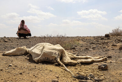 Severe drought killed several livestock of the pastoralist community of Higlo Kebele,Adadle wereda of Somali region of Ethiopia. 