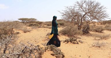 A woman walks across a dry, sunlit landscape dotted with sparse shrubs and leafless trees, carrying a yellow container through the arid terrain.