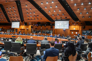 Delegates sit around a large conference table in a wood-panelled chamber, with screens displaying a speaker during an international meeting.