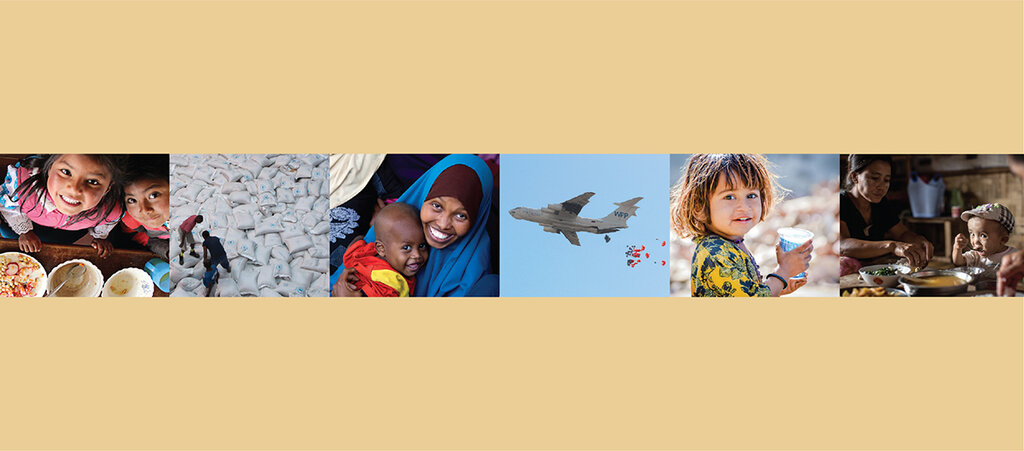 Wfp Booklets WFP Occasional Paper series | World Food Programme