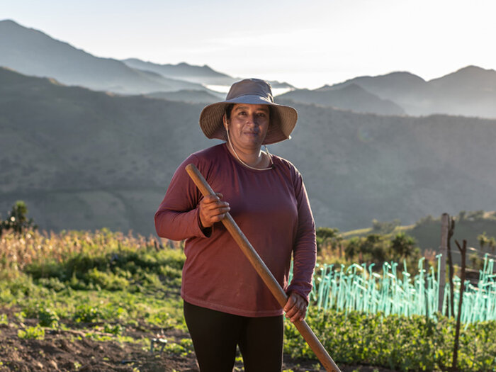 woman working in field