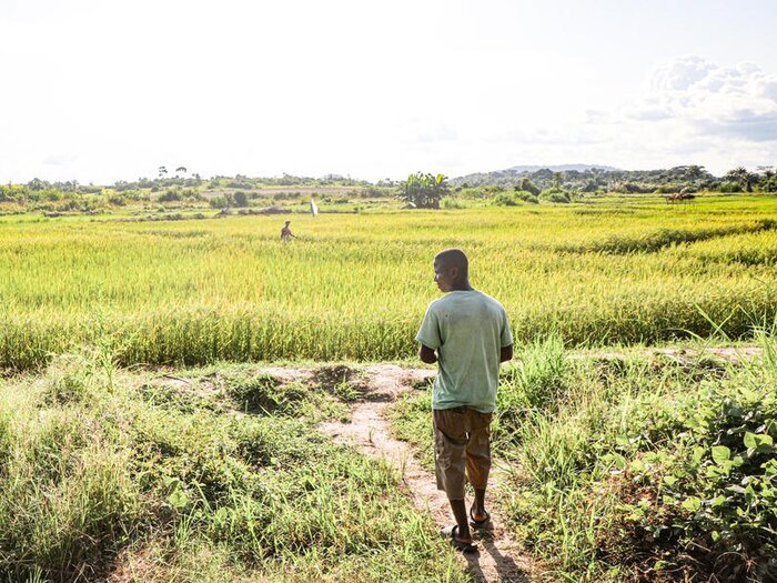Martin George in the swamp field was created as part of the Integrated Food Security (IFS) project funded by the Latter-Day Saints Church (LDS) in the village of Suakoko, Bong County.