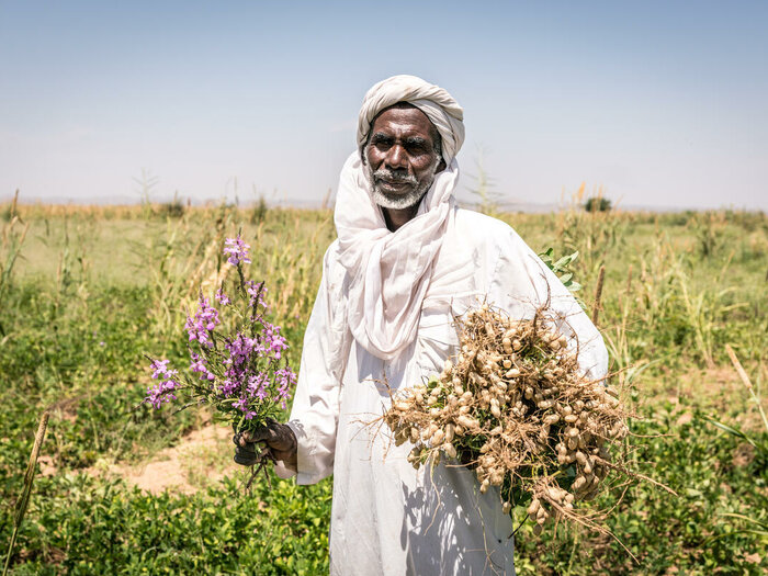 Hissein Mahamat, Smallholder Farmer, standing on his groundnut field holding harvest.