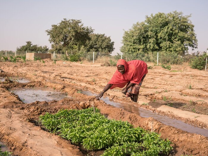 WFP beneficiary weeds a vegetable patch at a WFP market garden.