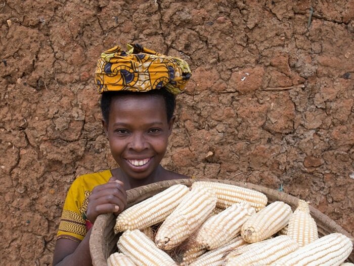 Woman with a basket full of corn cobs