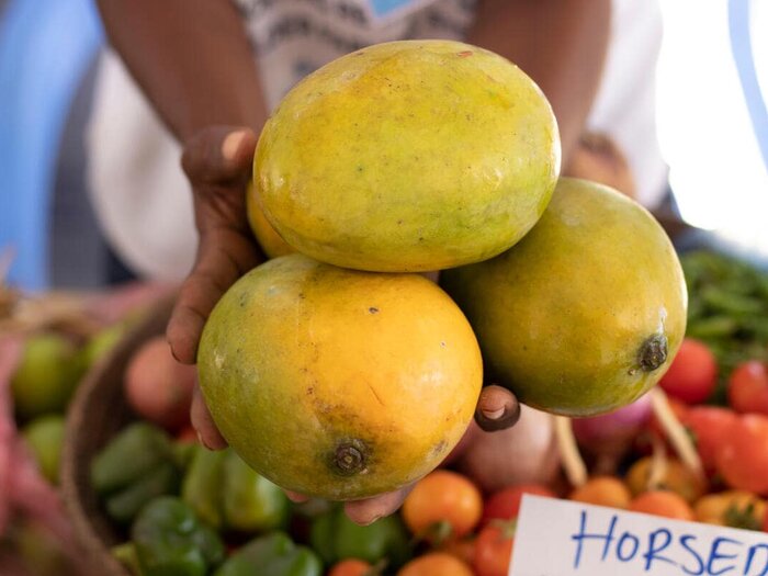 Agribusiness traders displaying their produce at an agribusiness fair in Jowhar, Hirshabelle, Somalia.