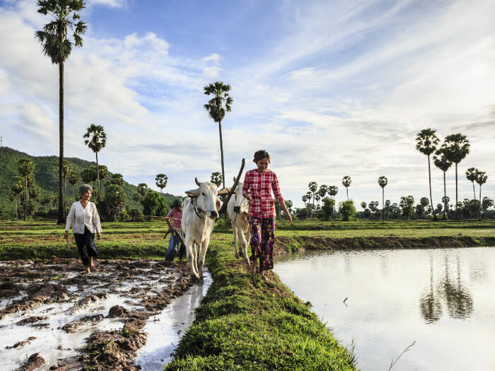 Farmers on their farms in Cambodia, constructed to reserve water on the soil for longer, an initiative of the World Food Programme to mitigate the effect of natural disasters