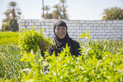 Four Egyptian women rewriting their lives