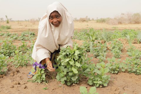 Restoring lives and livelihoods amidst Nigeria’s conflict