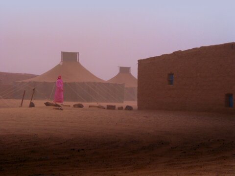 Growing Food in the Algerian Desert