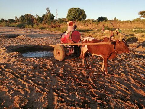 How drought is pushing more people into hunger in southern Madagascar