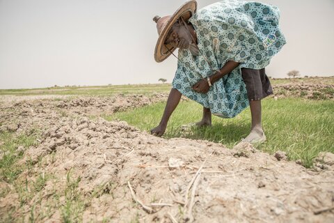 The three words shaping climate action for the World Food Programme