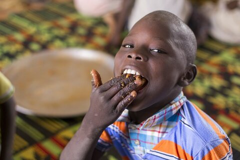 Eat, grow, study: School feeding in Africa