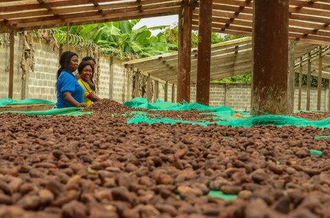 Latin America and the Caribbean: a laboratory for climate action