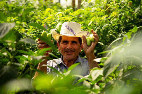 Desertification and drought: In El Salvador ‘green gold’ takes on the Dry Corridor