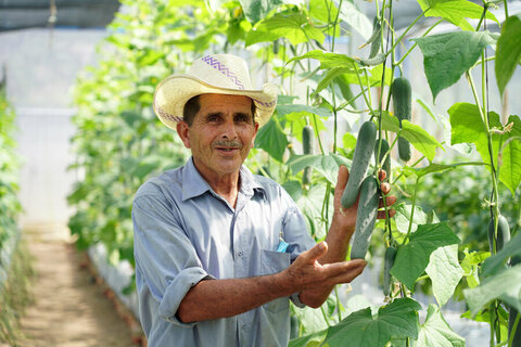 El Salvador: Growing ‘green gold’ in Central America’s Dry Corridor