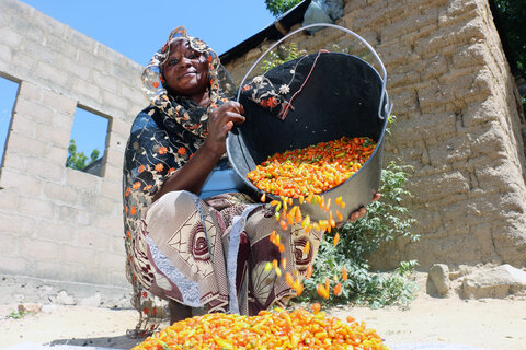 Cameroon: Women’s cooperatives create ‘family’ bonds amid crisis