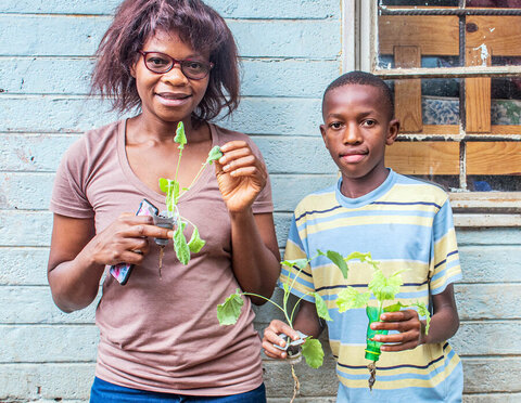 Seeds of hope: Hydroponics tech in Zambia boosts school meals