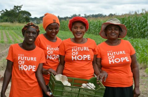 Zimbabwe: Mushroom-growing means independence for women farmers