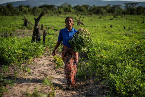 Food for peace: WFP and FAO work to end conflict and hunger in DRC