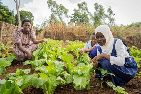 School Meals Coalition: Uniting to transform the lives of children