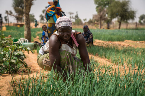 Hunger pandemic: Food security report confirms WFP’s worst fears