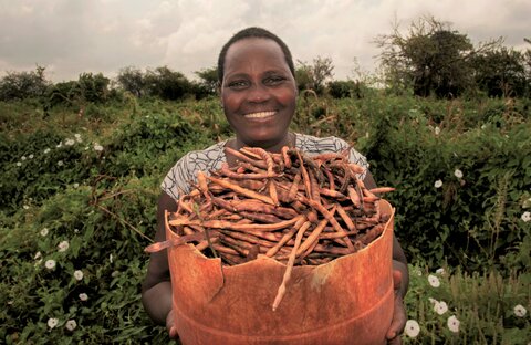 Three ways WFP is helping to revitalize food systems in Eastern Africa