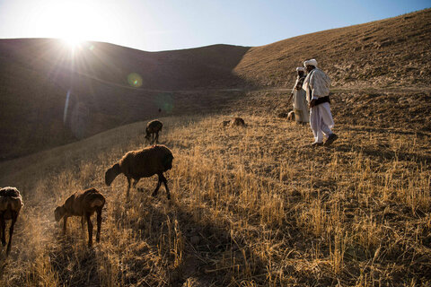 Afghanistan: WFP remains standing – a fortress against hunger