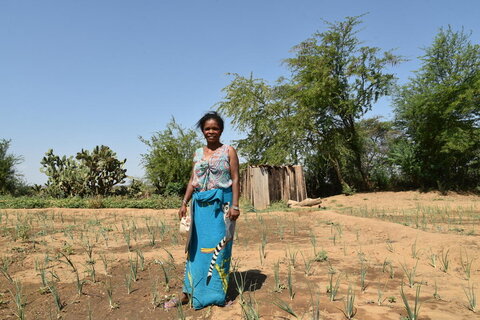 Yield of dreams: How farmers in Madagascar are defying drought with WFP climate insurance