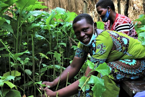 Rwanda: How training is helping women farmers grow