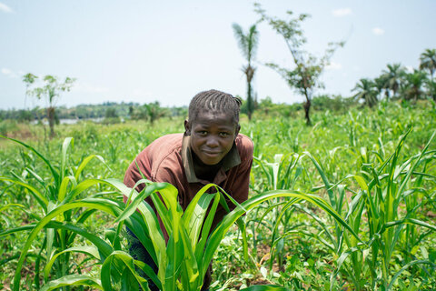 Growing peace to break the vicious circle of hunger and conflict