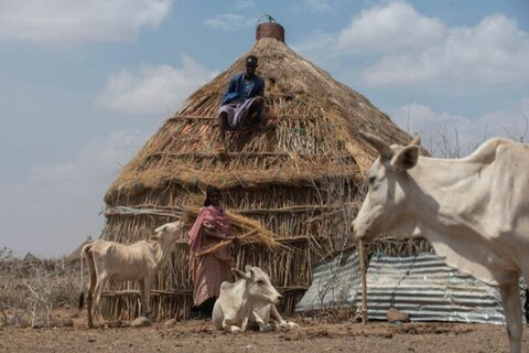 Millions face hunger as drought grips Ethiopia, Kenya and Somalia, warns WFP