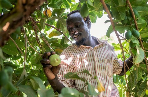 Climate: WFP helps pastoralists in Kenya adapt to changing weather