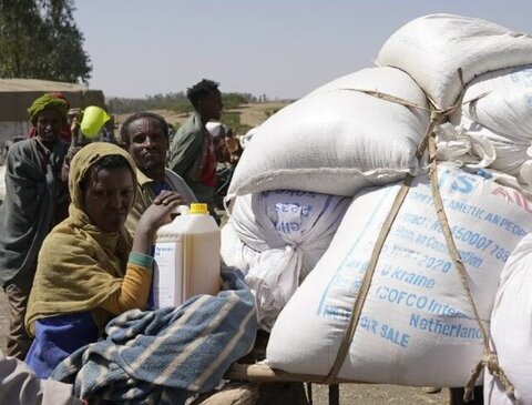 War in Ukraine: WFP calls for ports to reopen as world faces deepening hunger crisis