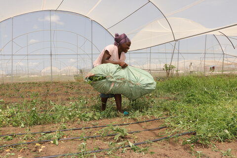 How refugees from Burundi in Kenya are empowered to farm