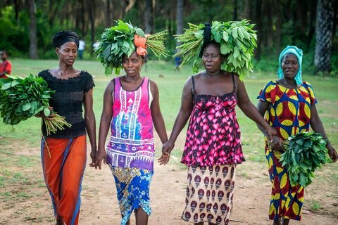 Sierra Leone: How school feeding empowers parents to grow and sell vegetables