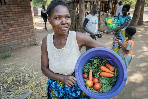 Rural Women's Day: With rains unreliable, Malawi's farmers harness sun instead